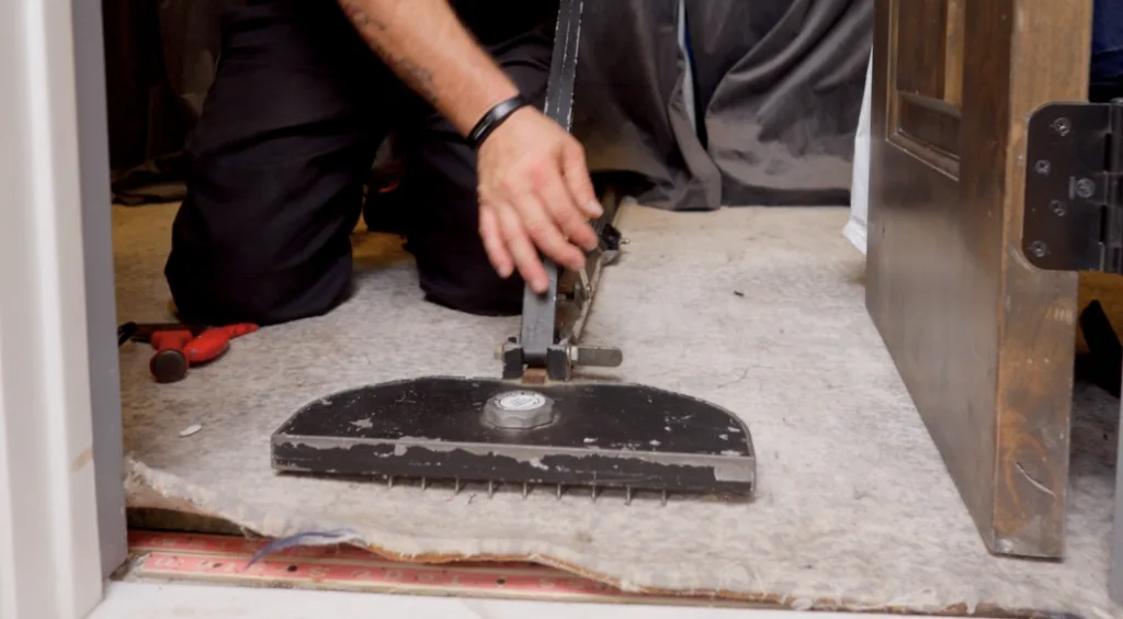 carpet cleaning
